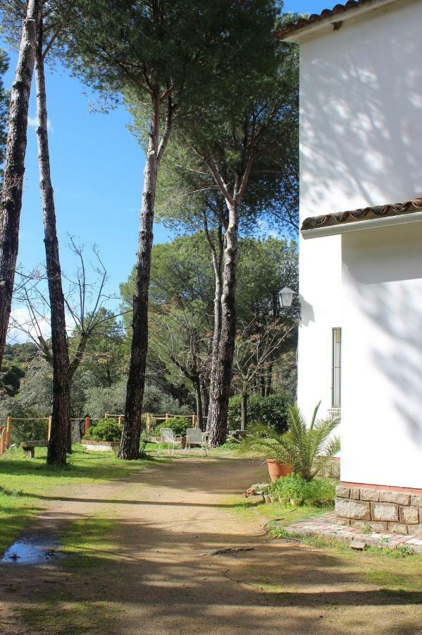 Vina Concepcion Villa Andujar Bagian luar foto
